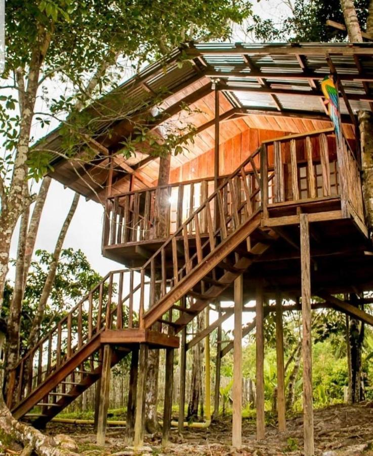 Hotel Karupa Amazonas Летисия Экстерьер фото