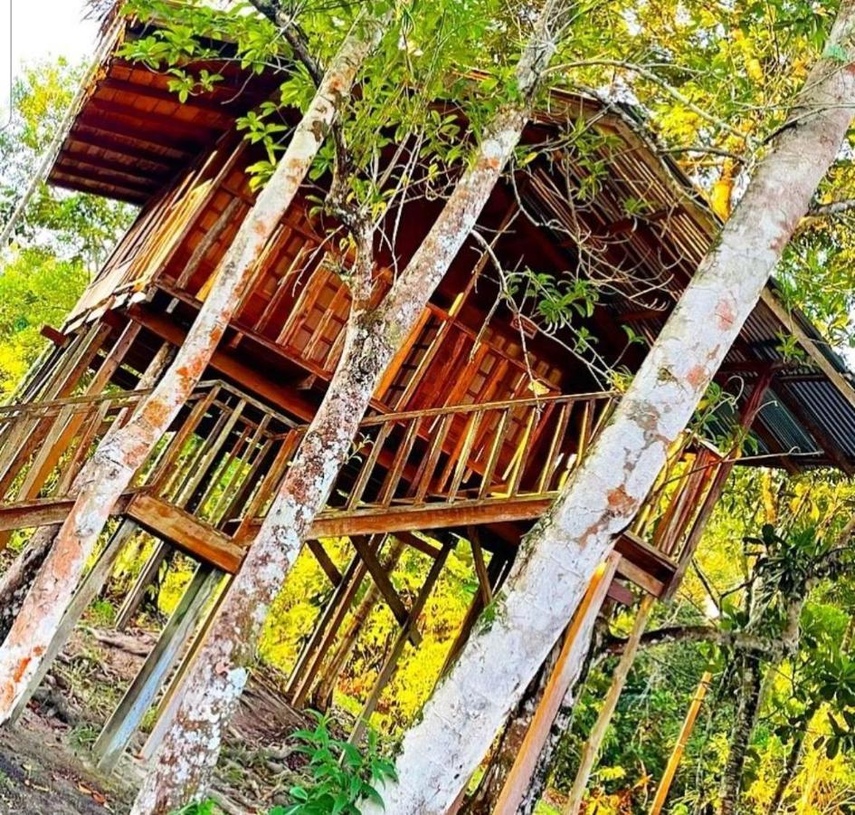 Hotel Karupa Amazonas Летисия Экстерьер фото