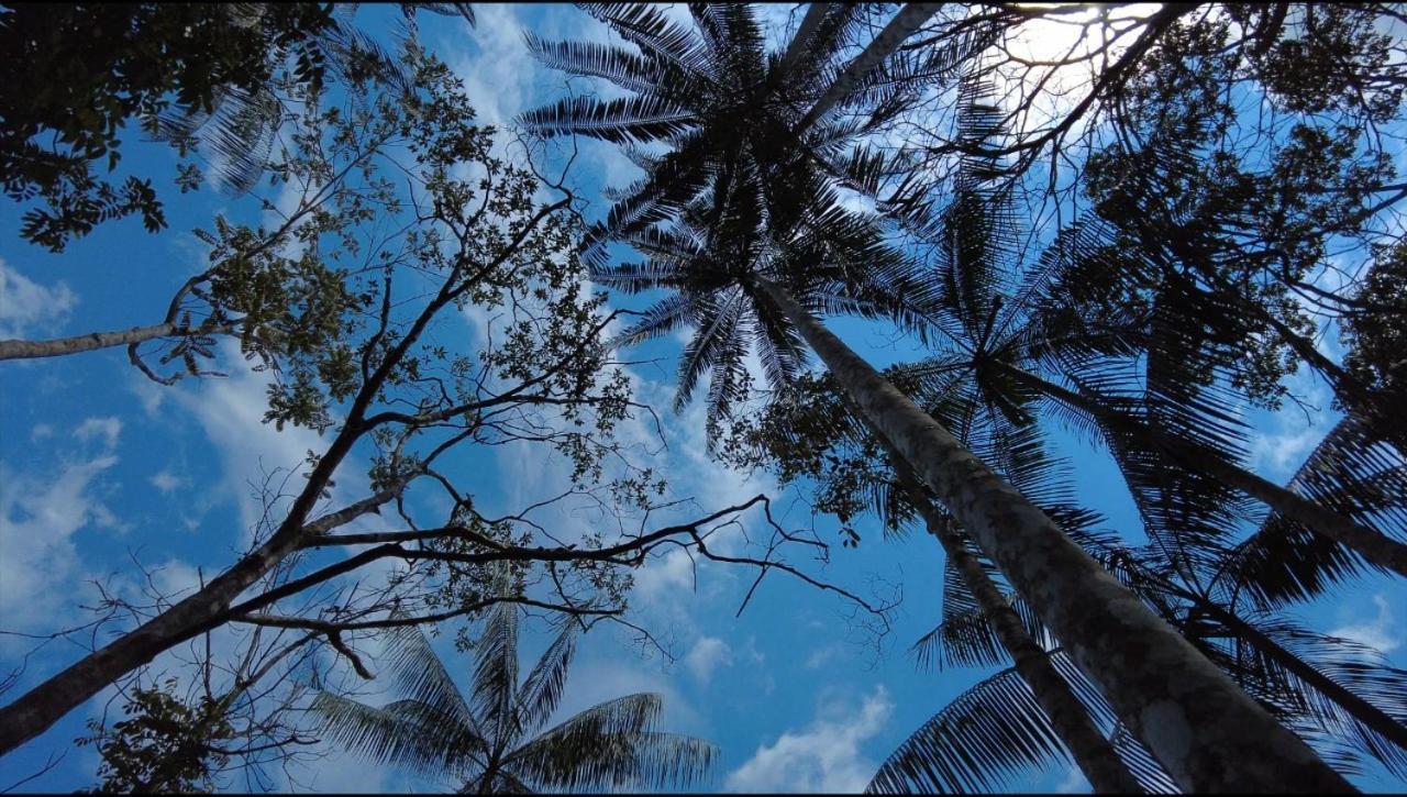 Hotel Karupa Amazonas Летисия Экстерьер фото