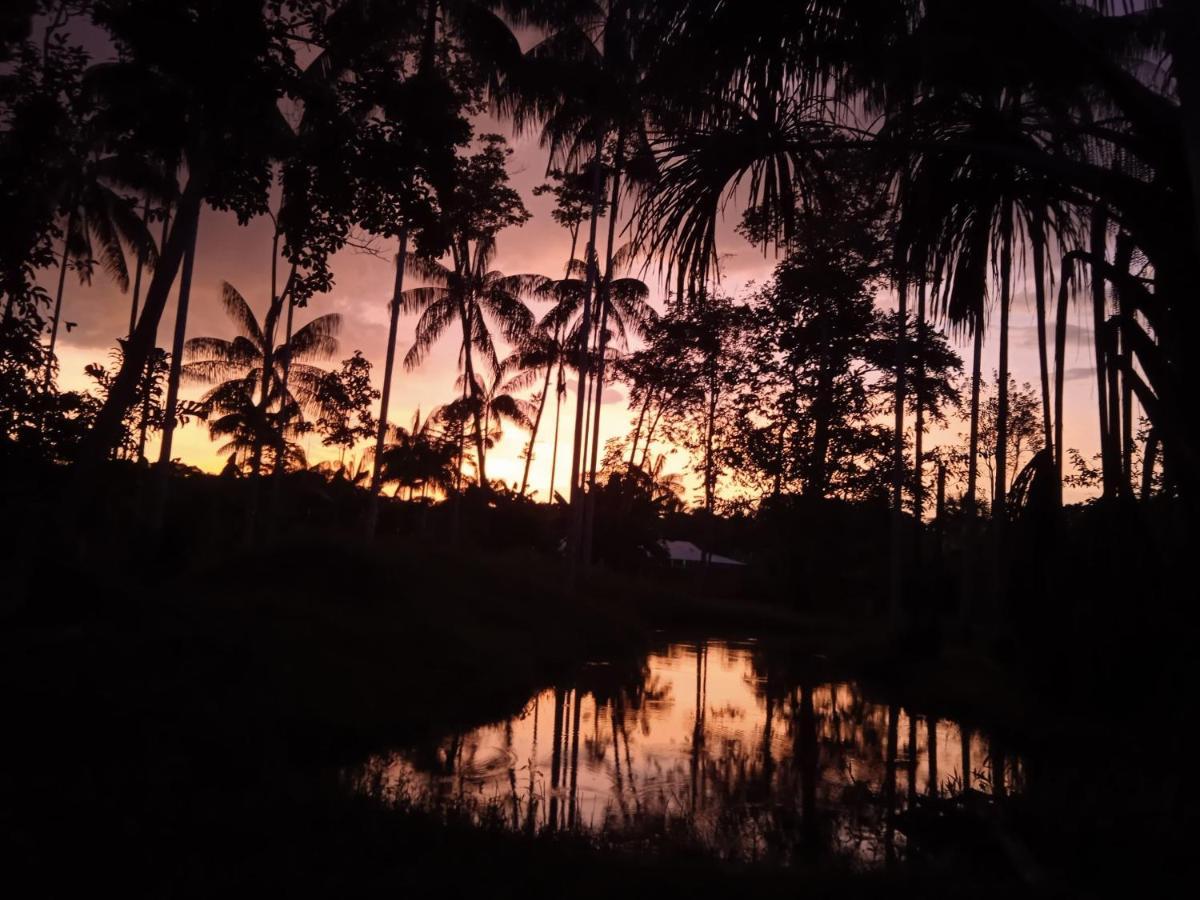 Hotel Karupa Amazonas Летисия Экстерьер фото