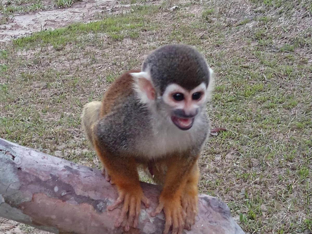 Hotel Karupa Amazonas Летисия Экстерьер фото